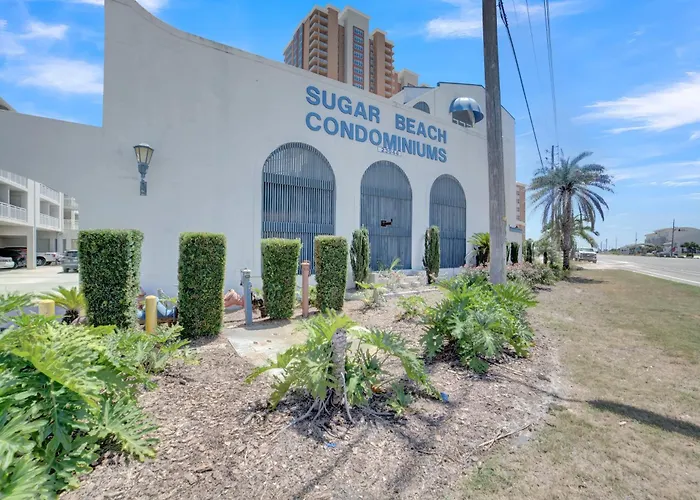 Sugar 312 By Collection *